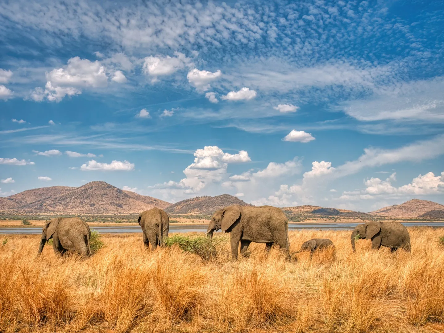 Best Time to Visit Kruger National Park